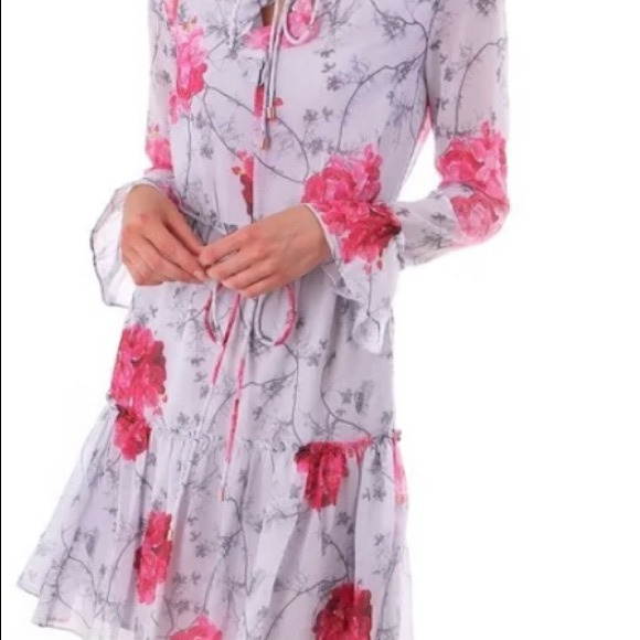 TED BAKER - Eriin Babylon Ruffle Dress - Picture 10 of 15